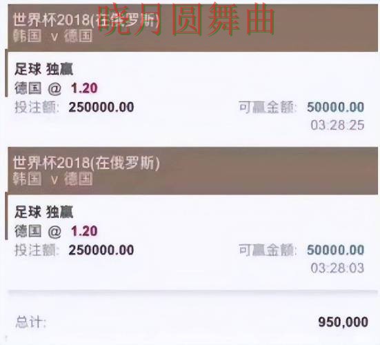 世界杯投注平台热门玩法适合哪些人详细解析 世界杯投注平台热门玩法适合哪些人详细解析